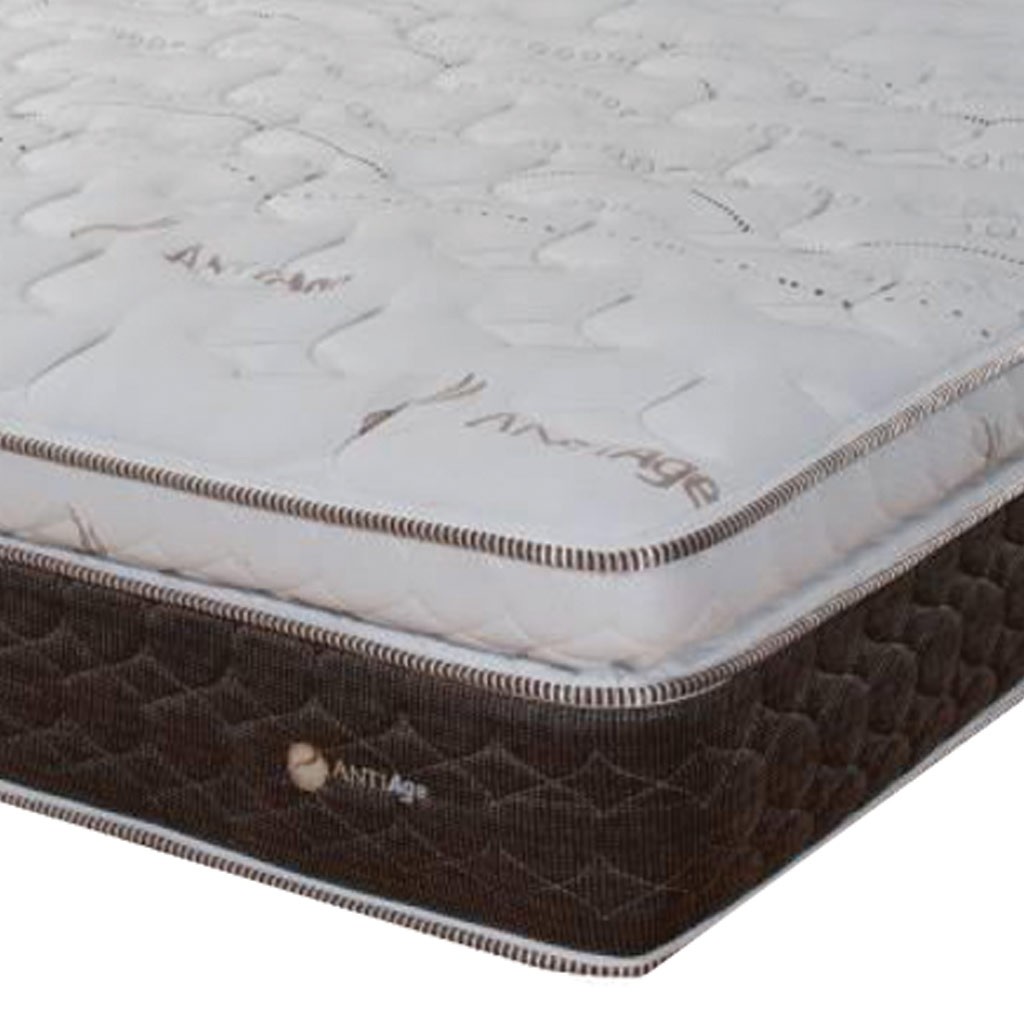 Colchón Queen Size Wendy Eternal