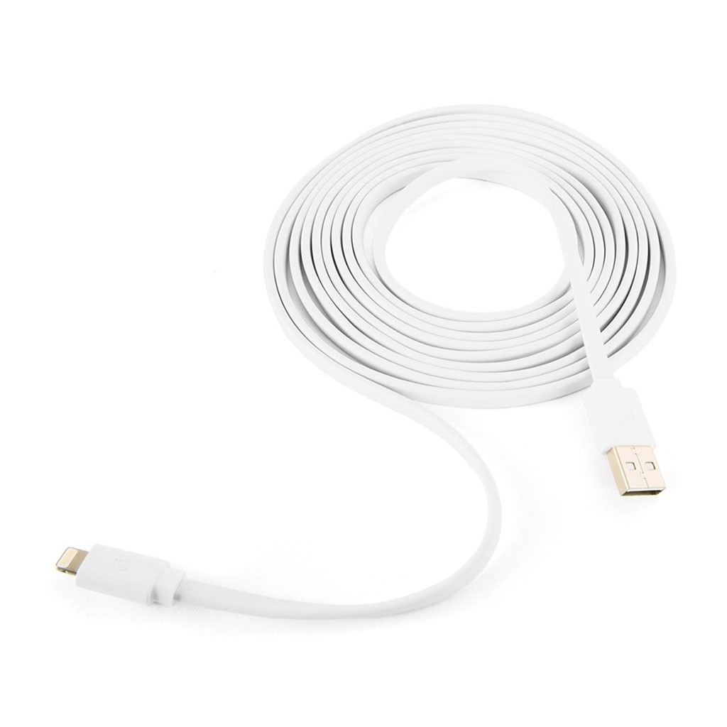Griffin USB to Lightning Cable 10