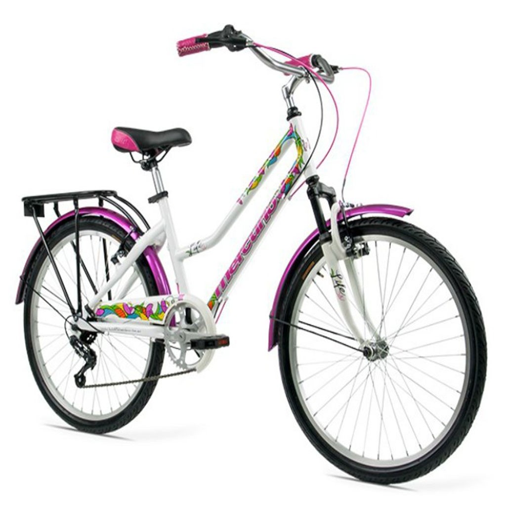 Bicicleta Mercurio Life R24
