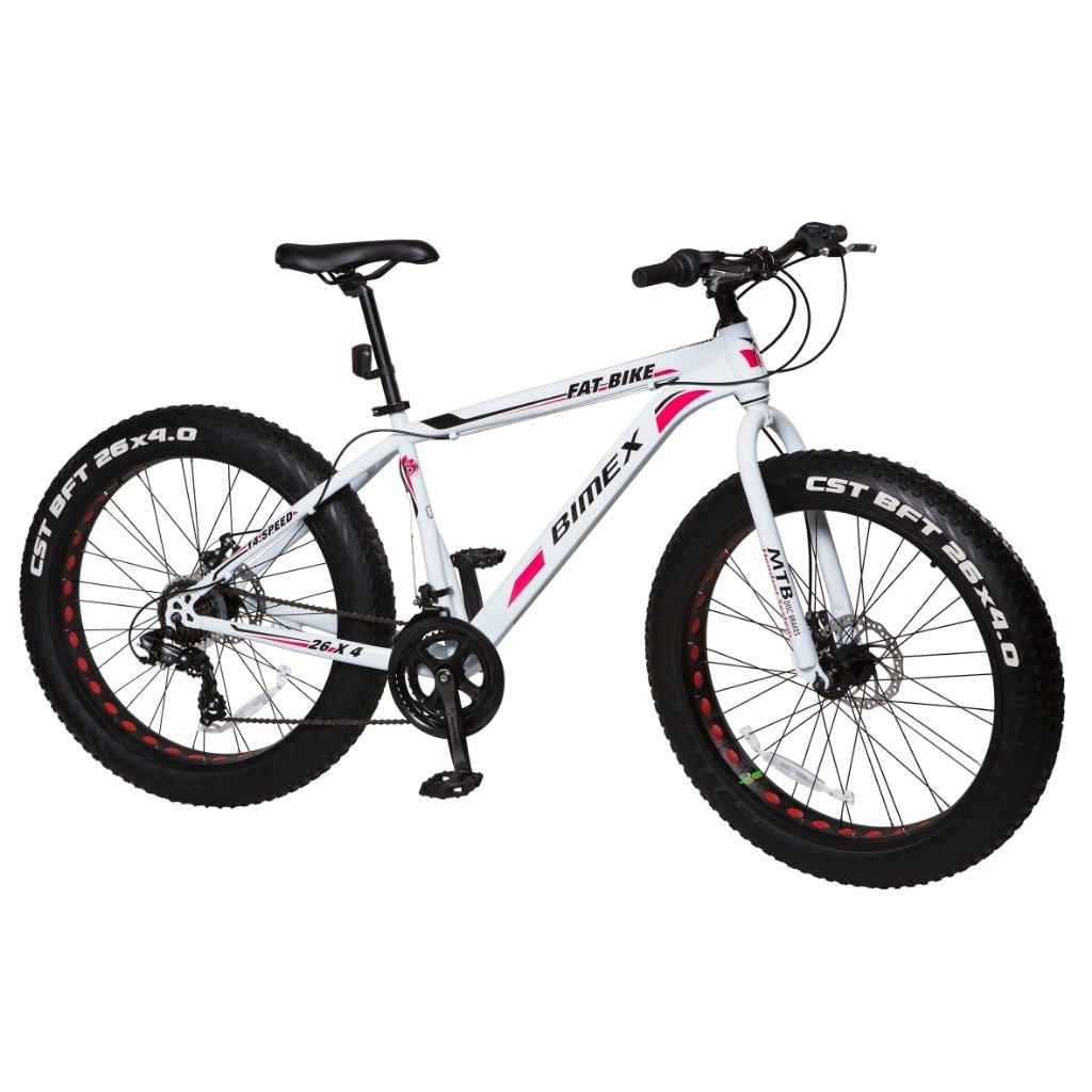 Bicicleta Bimex Fat Bike R26