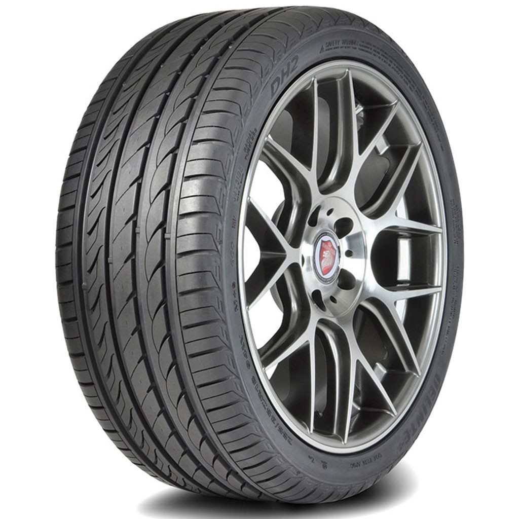 Llanta Delinte DH2 195 65 R15