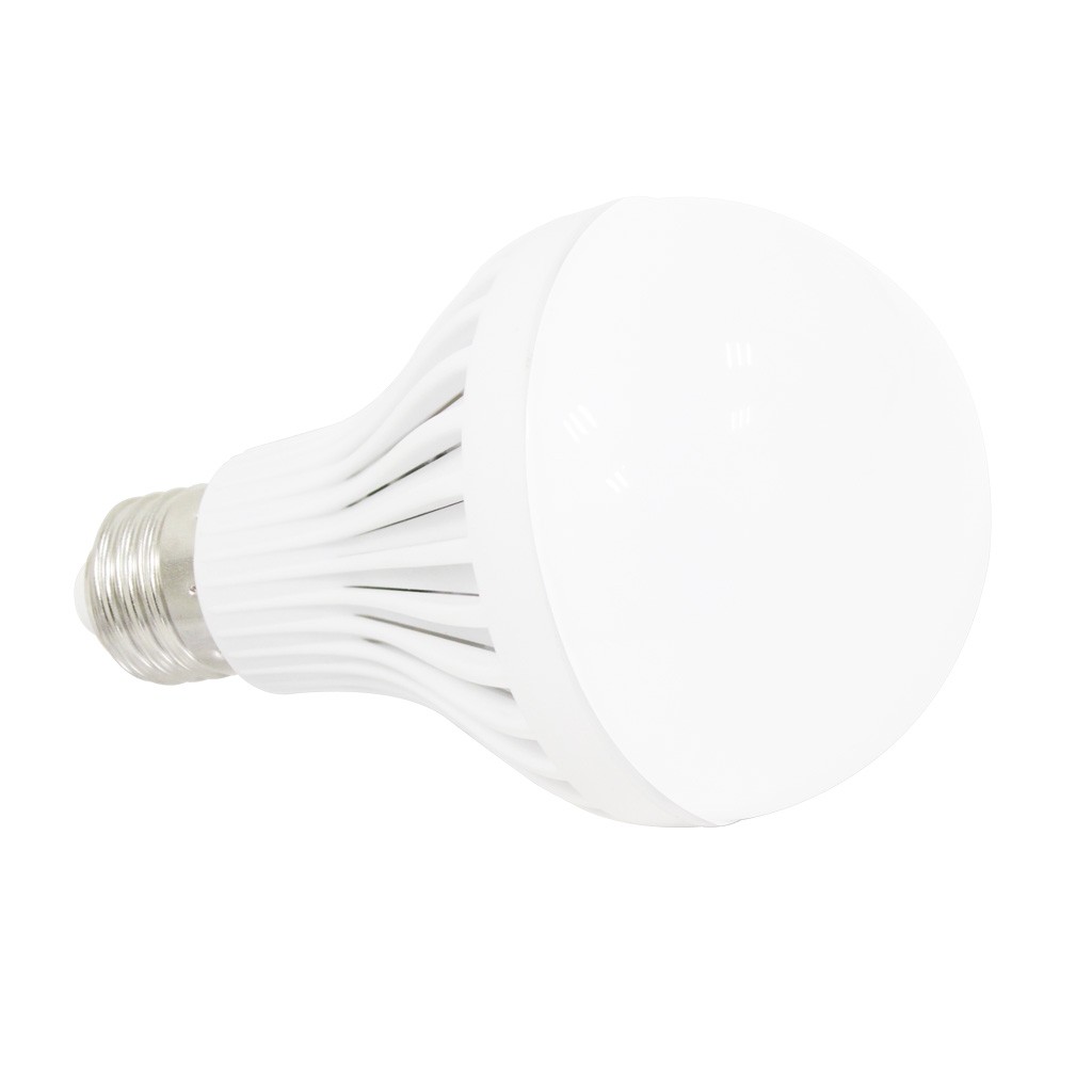 Foco de LED 12Watts Luz fría Sanelec